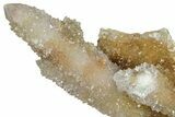 Sparkling Cactus Quartz Crystal Cluster - South Africa #303470-1